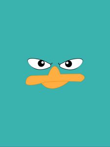 Preview wallpaper duck, face, beak, eyes, vector