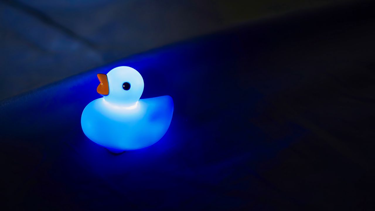 Wallpaper duck, glow, blue, dark