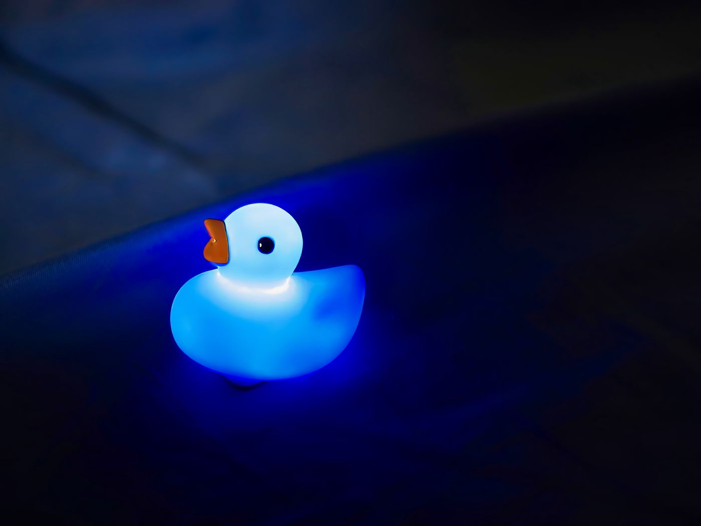1400x1050 Wallpaper duck, glow, blue, dark