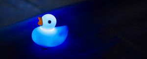 Preview wallpaper duck, glow, blue, dark