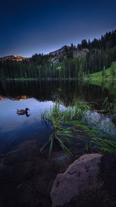 Preview wallpaper duck, lake, forest, mountains, stone, landscape
