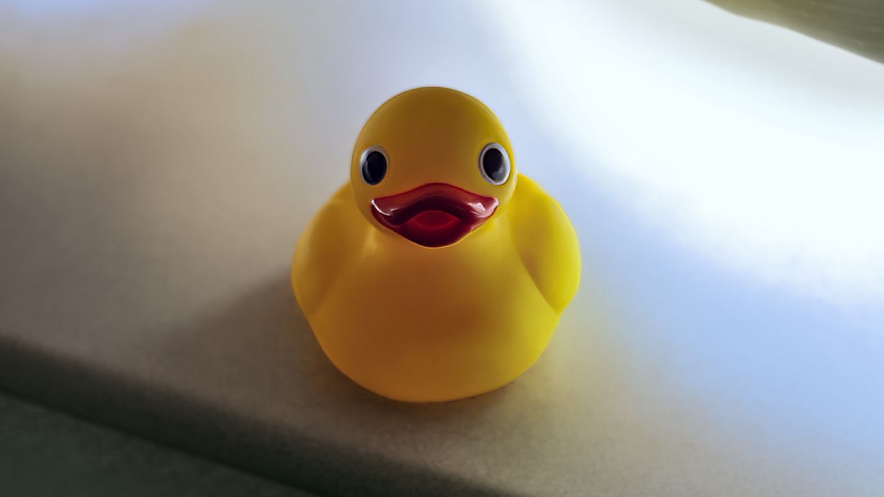 Wallpaper duck, surface, blur