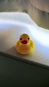 Preview wallpaper duck, surface, blur