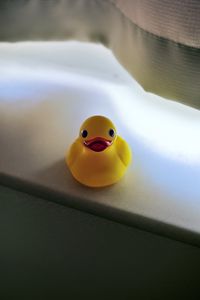 Preview wallpaper duck, surface, blur