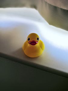 Preview wallpaper duck, surface, blur