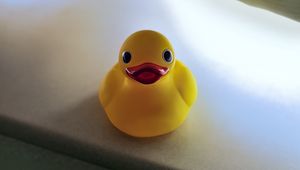 Preview wallpaper duck, surface, blur