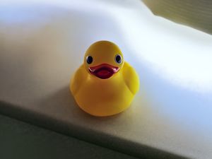 Preview wallpaper duck, surface, blur