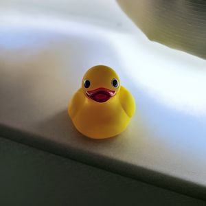 Preview wallpaper duck, surface, blur