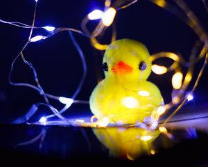 Preview wallpaper duck, toy, garland, light