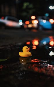 Preview wallpaper duck, water, puddle, dark