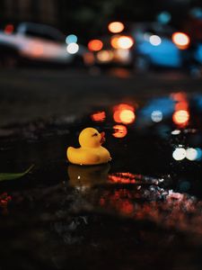 Preview wallpaper duck, water, puddle, dark