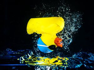 Preview wallpaper duckling, spray, toy