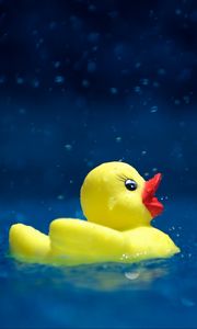 Preview wallpaper duckling, toy, water, spray, drops