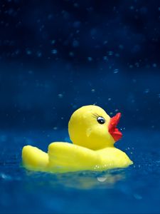 Preview wallpaper duckling, toy, water, spray, drops