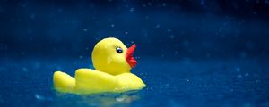 Preview wallpaper duckling, toy, water, spray, drops