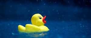 Preview wallpaper duckling, toy, water, spray, drops