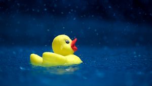 Preview wallpaper duckling, toy, water, spray, drops