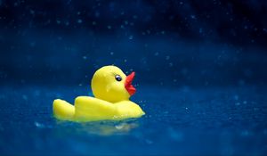 Preview wallpaper duckling, toy, water, spray, drops