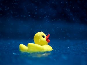 Preview wallpaper duckling, toy, water, spray, drops