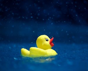 Preview wallpaper duckling, toy, water, spray, drops