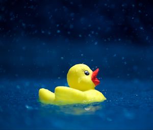 Preview wallpaper duckling, toy, water, spray, drops