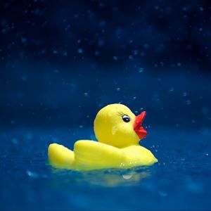 Preview wallpaper duckling, toy, water, spray, drops