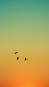 Preview wallpaper ducks, birds, flight, sunset, sky