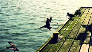 Preview wallpaper ducks, pier, wooden, sea, waves, flying