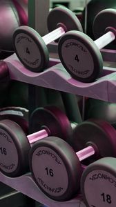 Preview wallpaper dumbbells, gym, fitness, sport