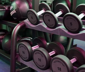 Preview wallpaper dumbbells, gym, fitness, sport