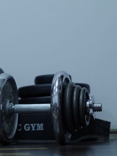 Download wallpaper 240x320 dumbbells, gym, weight, disks old mobile, cell  phone, smartphone hd background