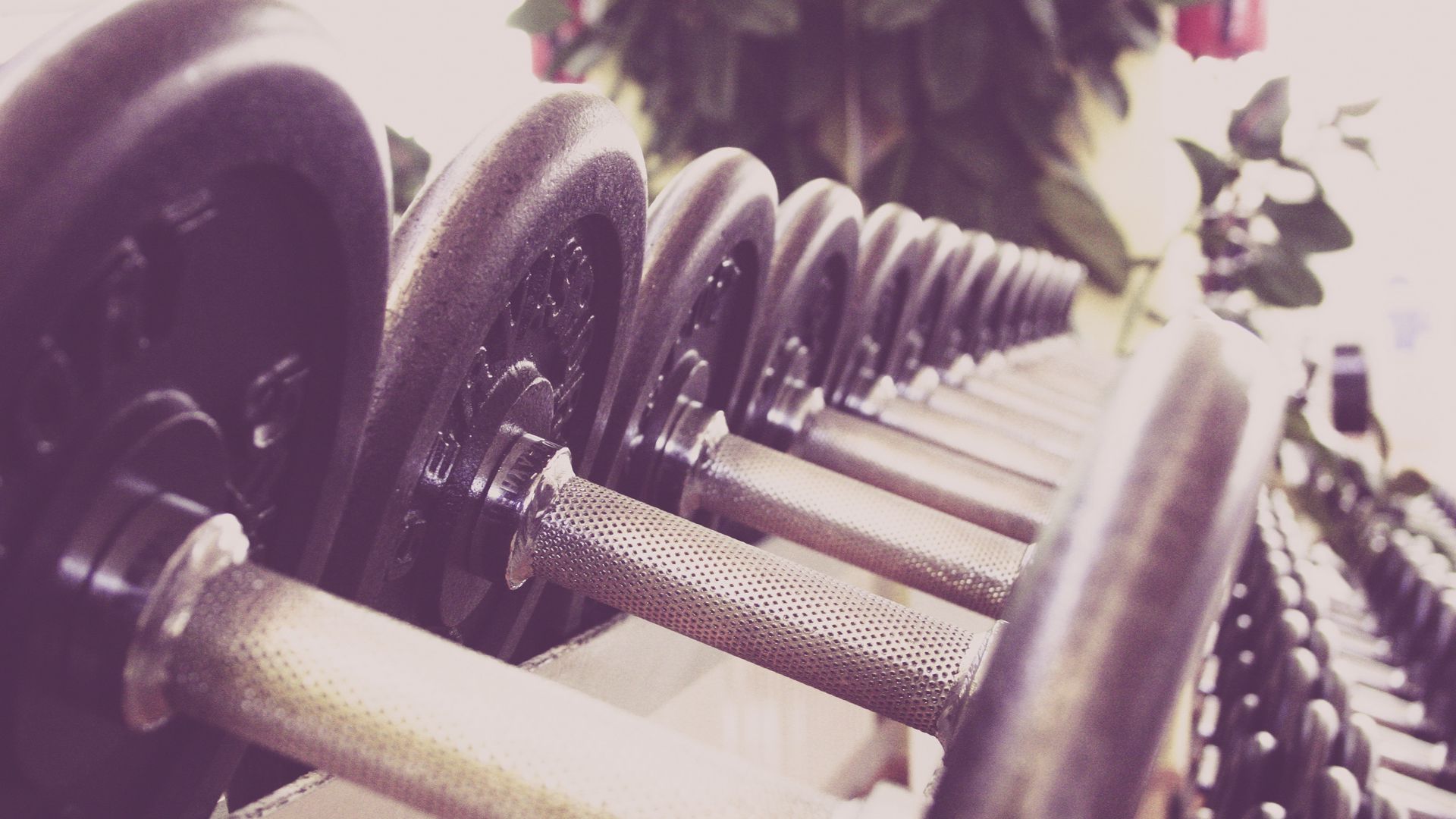 Download wallpaper 1920x1080 dumbbells, sports, gym full hd, hdtv, fhd, 1080p  hd background