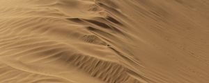 Preview wallpaper dune, sand, desert, dry