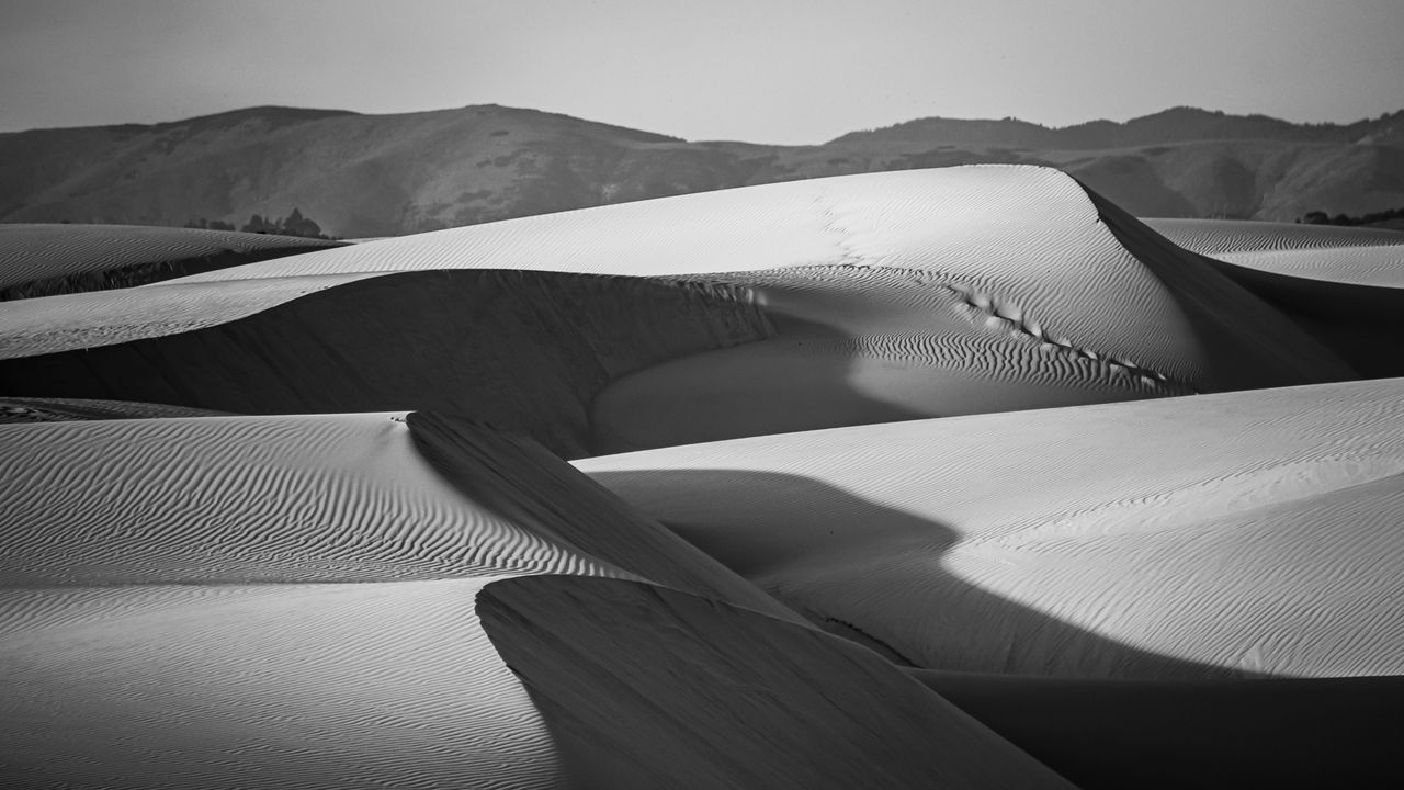 Wallpaper dunes, desert, sand, black and white