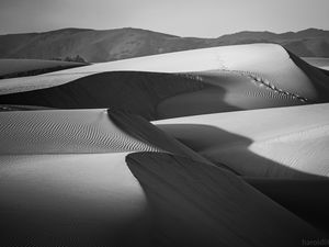 Preview wallpaper dunes, desert, sand, black and white