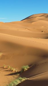 Preview wallpaper dunes, sand, grass, footprints