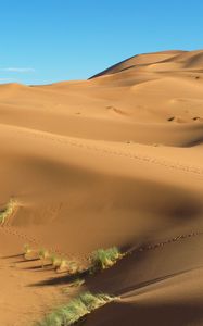 Preview wallpaper dunes, sand, grass, footprints