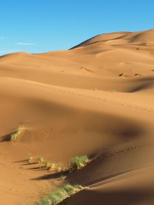 Preview wallpaper dunes, sand, grass, footprints