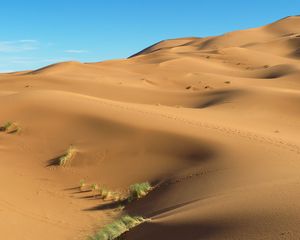 Preview wallpaper dunes, sand, grass, footprints