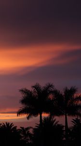 Preview wallpaper dusk, palm trees, dark, landscape