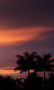 Preview wallpaper dusk, palm trees, dark, landscape