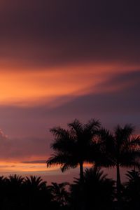 Preview wallpaper dusk, palm trees, dark, landscape