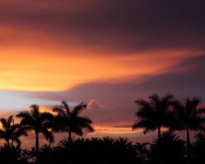 Preview wallpaper dusk, palm trees, dark, landscape