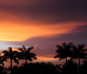 Preview wallpaper dusk, palm trees, dark, landscape