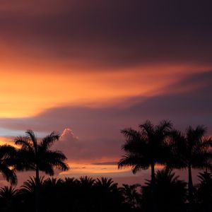 Preview wallpaper dusk, palm trees, dark, landscape