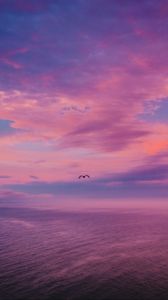 Preview wallpaper dusk, sea, bird, sky, beautiful