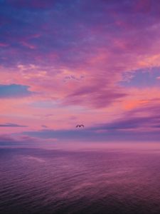 Preview wallpaper dusk, sea, bird, sky, beautiful
