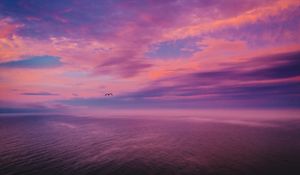 Preview wallpaper dusk, sea, bird, sky, beautiful