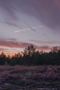 Preview wallpaper dusk, trees, bushes, landscape, evening