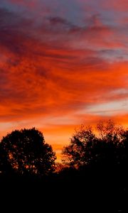 Preview wallpaper dusk, trees, dark, clouds, sunset